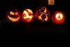 Cook County pumpkins glow in the darkness. Photo by Joe Friedrichs
